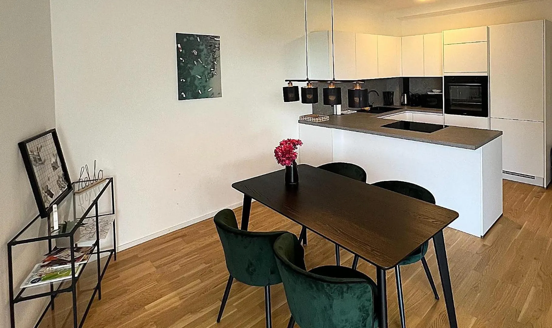 U4 Spittelau-Tr9 Apartment Vienna